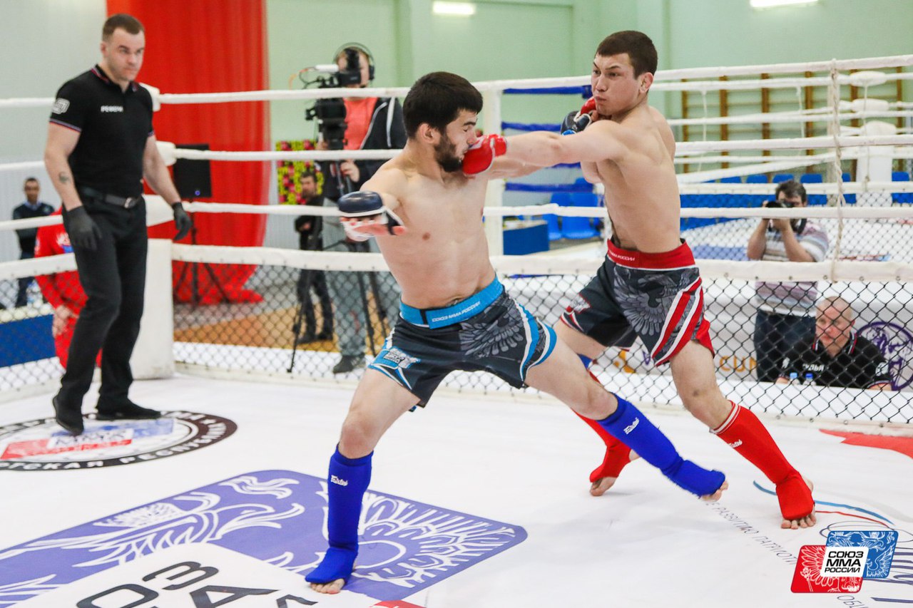Первенство России по MMA соберет в Оренбурге сильнейших спортсменов