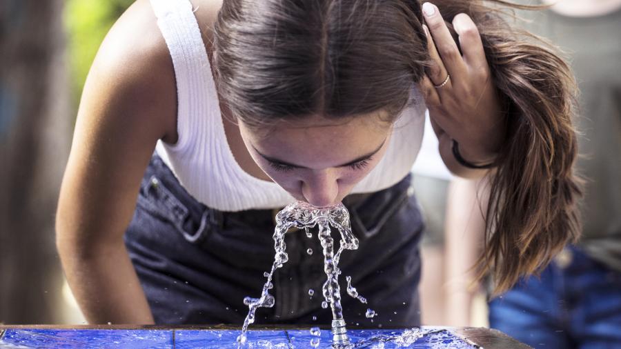 Диетолог оспорила рекомендацию пить 2 л воды в день