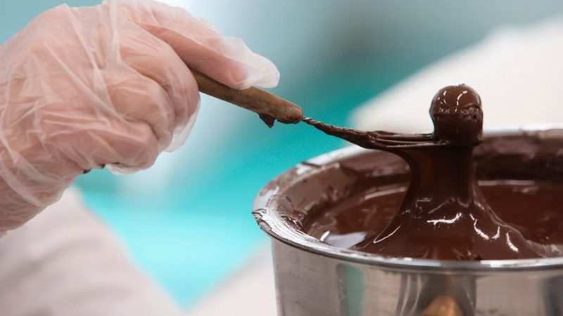 Ученые объяснили любовь к шоколаду