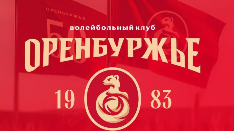 Волейбольный клуб «Оренбуржье» выбрал логотипом куницу